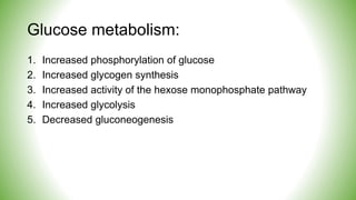 Glucose metabolism:
1. Increased phosphorylation of glucose
2. Increased glycogen synthesis
3. Increased activity of the hexose monophosphate pathway
4. Increased glycolysis
5. Decreased gluconeogenesis
 