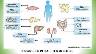 DRUGS USED IN DIABETES MELLITUS
 