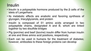 Insulin
• Insulin is a polypeptide hormone produced by the β cells of the
islets of Langerhans
• Its metabolic effects are anabolic and favoring synthesis of
glycogen, triacylglycerols, and protein
• Insulin is composed of 51 amino acids arranged in two
polypeptide chains, designated A and B, which are linked
together by two disulfide bridges
• Pig (porcine) and beef (bovine) insulin differ from human insulin
at one and three amino acid positions, respectively.
• Each can be used in humans for the treatment of diabetes;
however, antibodies to these foreign proteins can develop
 