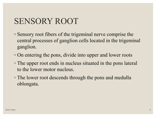Sensorial Roots Blood supply and nerve supply to the permanent teeth | PPTX