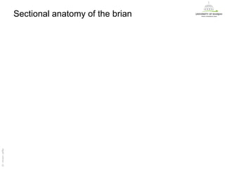 Sectional anatomy of the brian
Dr. Akram Jaffar




                                                    Dr. Akram Jaffar
 