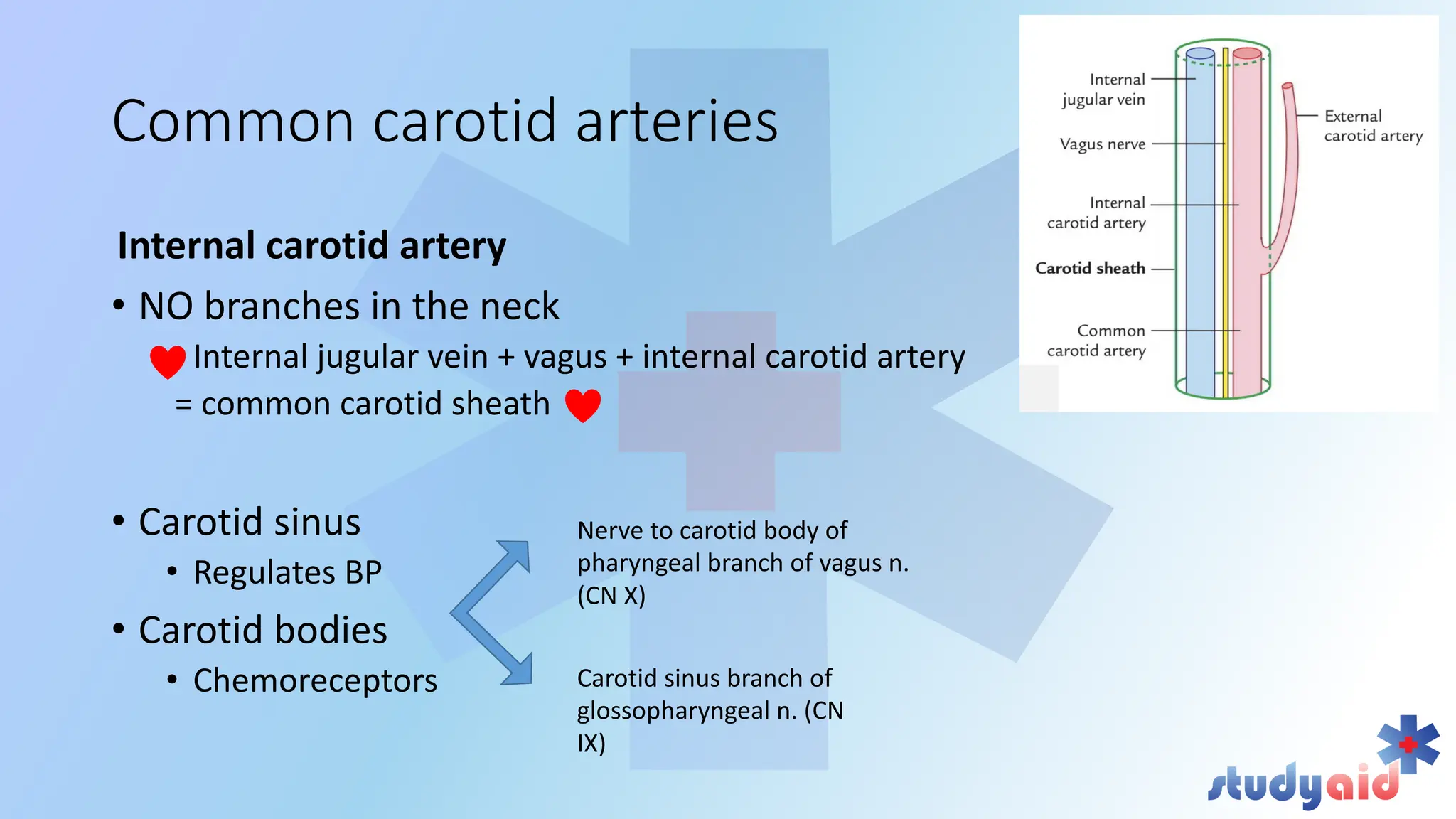Blood supply head and neck by bb chaurasya | PDF