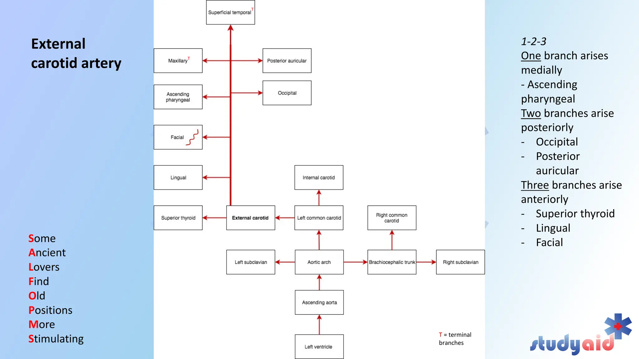 Blood supply head and neck by bb chaurasya | PDF
