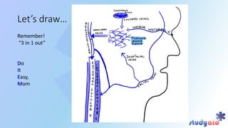 Blood supply head and neck by bb chaurasya | PPT