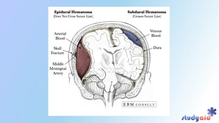 Blood supply head and neck by bb chaurasya | PDF
