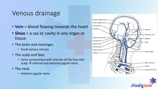 Blood supply head and neck by bb chaurasya | PPT