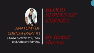 BLOOD
SUPPLY OF
CORNEA
By Komal
sharma
ANATOMY OF
CORNEA (PART II )
CORNEA covers Iris , Pupil
and Anterior chamber.
 