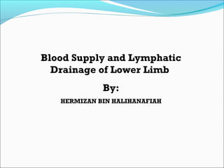 Blood Supply and Lymphatic
Drainage of Lower Limb
By:
HERMIZAN BIN HALIHANAFIAH
 