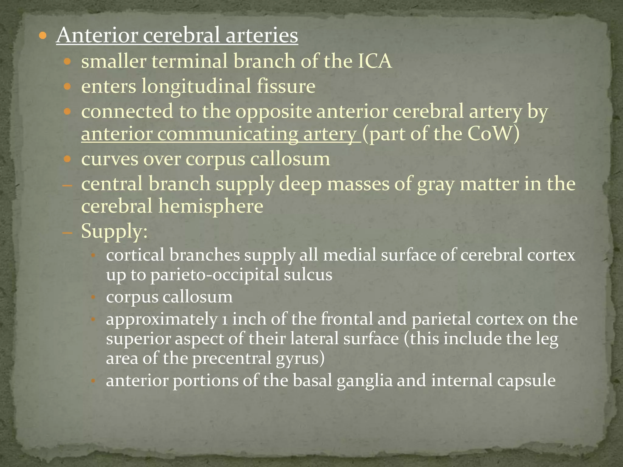 Blood supply of brain | PDF