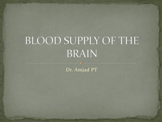 Dr. Amjad PT
 