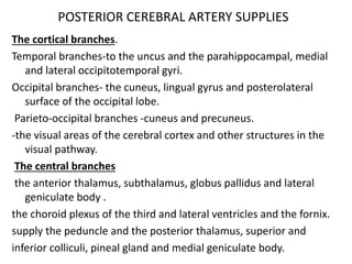 Blood supply of brain | PDF