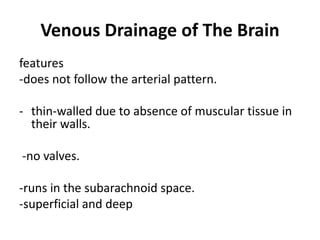 Drain Absence Blood supply of brain | PDF