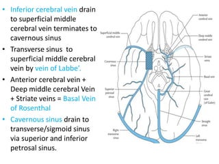 V Labbe Blood supply of brain | PDF