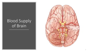 Blood Supply
of Brain
1
 