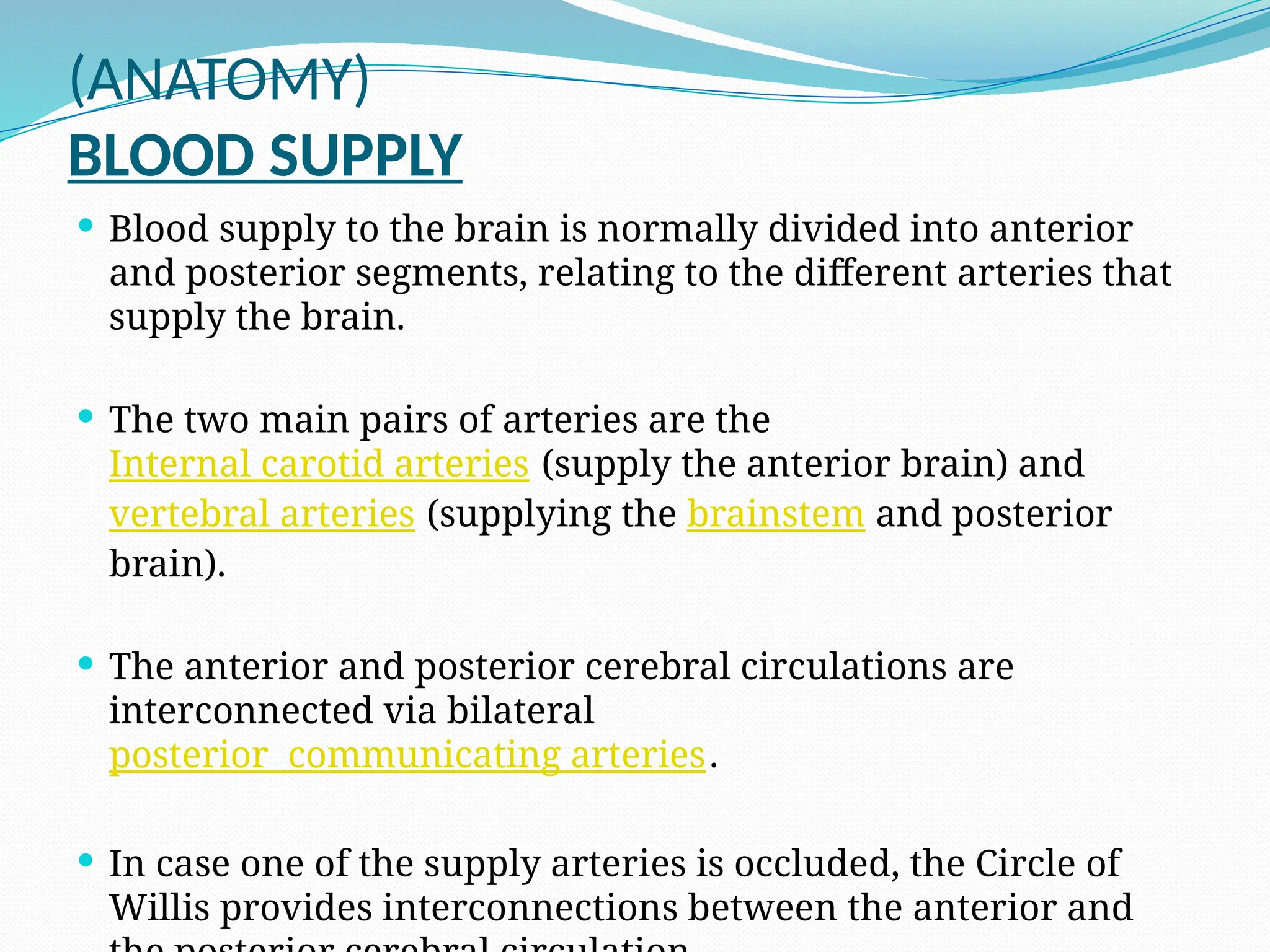 BLOOD SUPPLY OF BRAIN (Basic Anatomy and Physiology) | PPTX