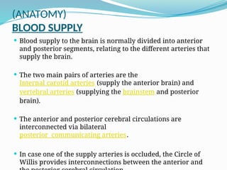 BLOOD SUPPLY OF BRAIN (Basic Anatomy and Physiology) | PPTX