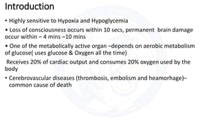 BLOOD SUPPLY OF BRAIN.pdf blood supply of brain | PDF
