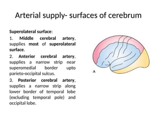 Comprehensive Overview of Brain Blood Supply and Venous Drainage | PPTX