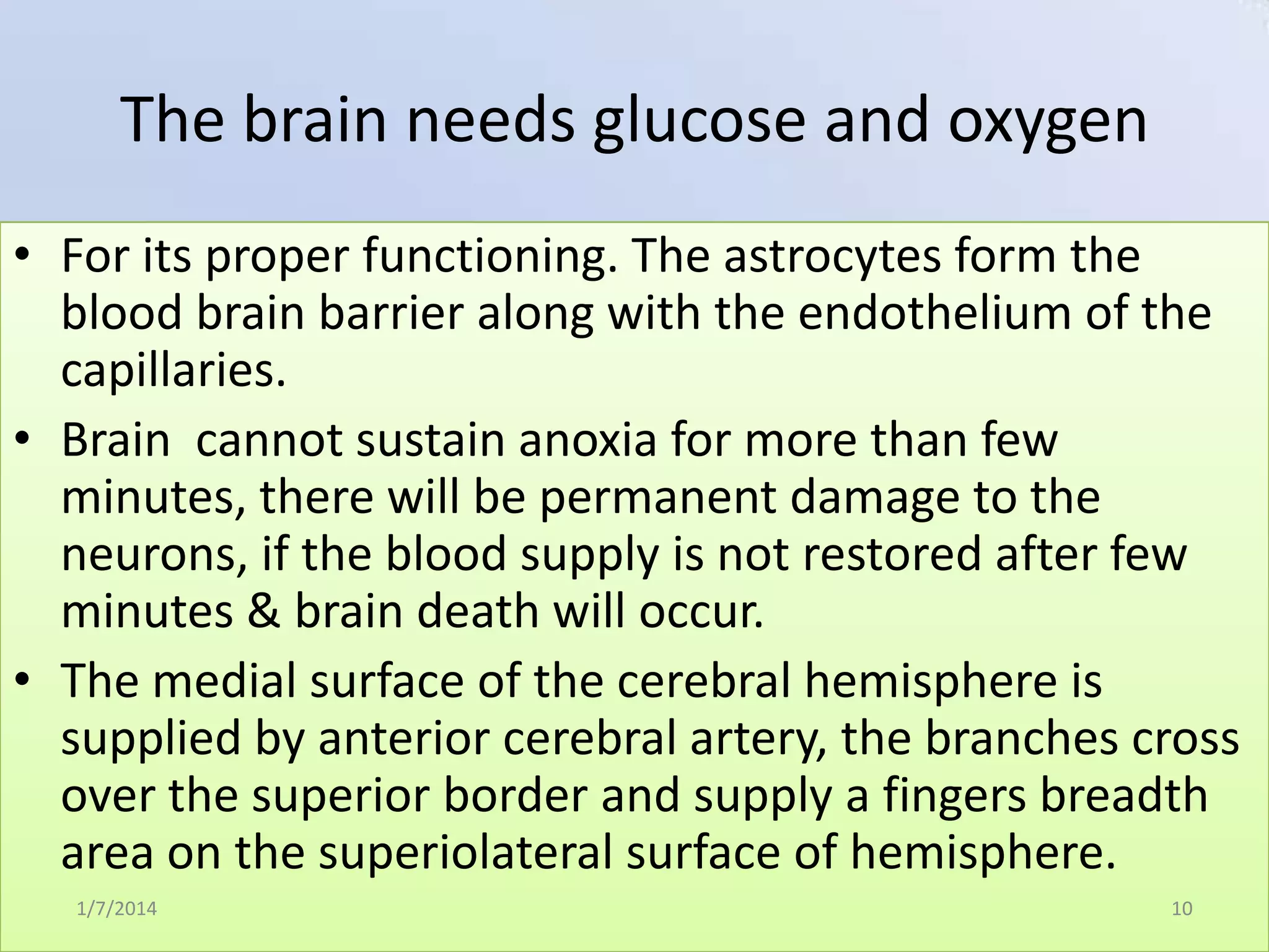 The brain needs glucose and oxygen
• For its proper functioning. The astrocytes form the
blood brain barrier along with the endothelium of the
capillaries.
• Brain cannot sustain anoxia for more than few
minutes, there will be permanent damage to the
neurons, if the blood supply is not restored after few
minutes & brain death will occur.
• The medial surface of the cerebral hemisphere is
supplied by anterior cerebral artery, the branches cross
over the superior border and supply a fingers breadth
area on the superiolateral surface of hemisphere.
1/7/2014

10

 