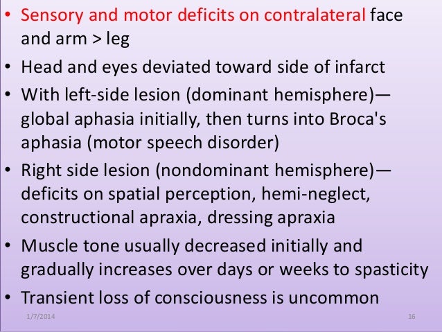 Blood supply of brain 2 Blood supply of brain 2