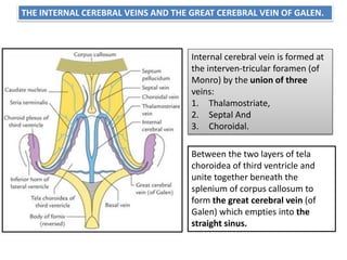 Tricular Blood supply of brain and spinal cord.pdf