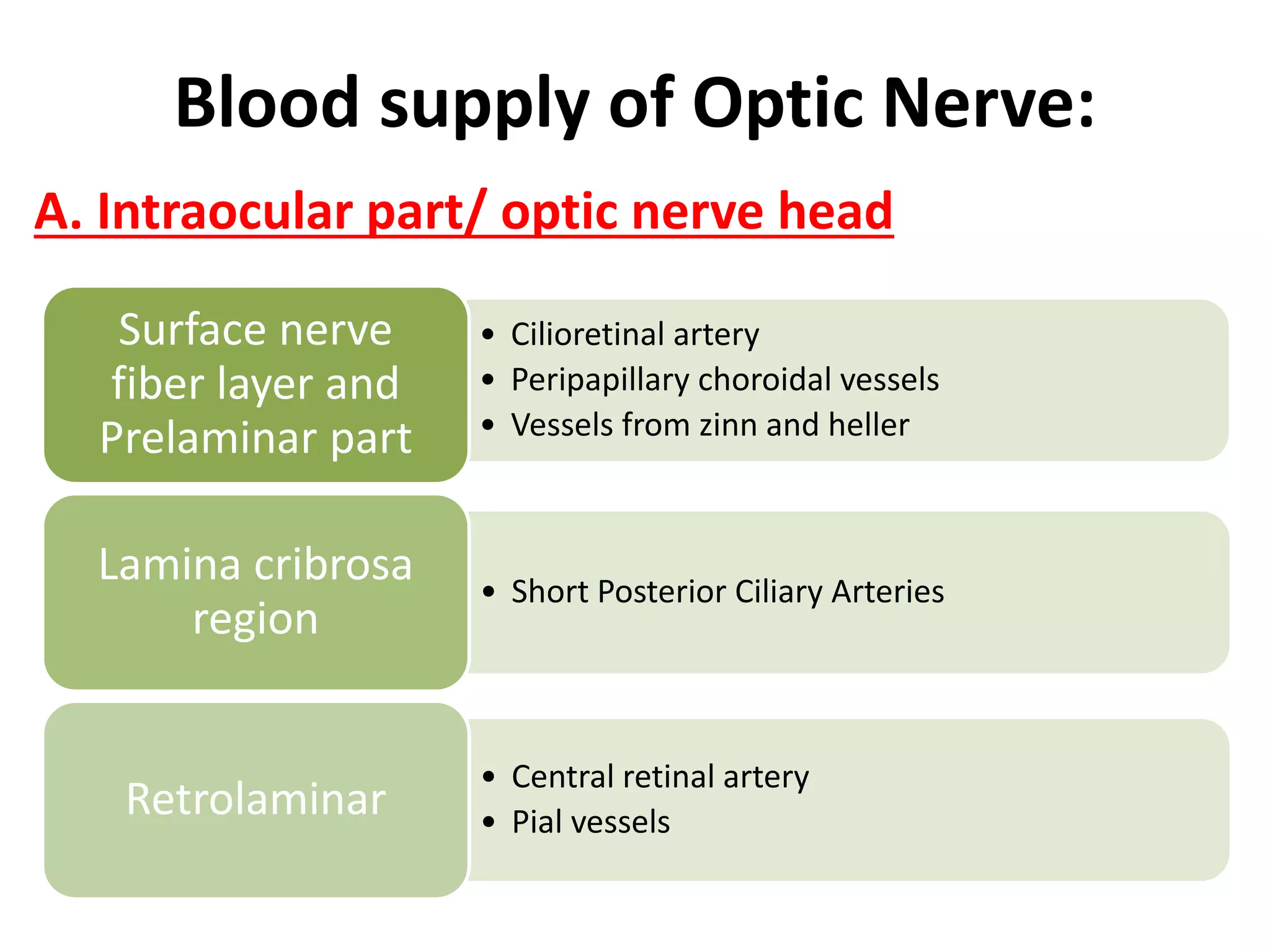 BLOOD AND NERVE SUPPLY OF EYE | PDF