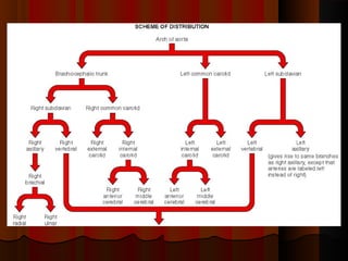 Blood supply of head and neck | PPT
