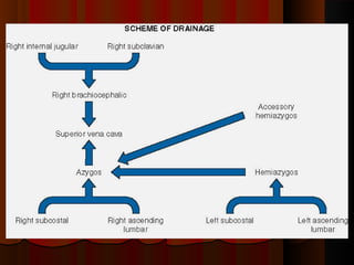 Blood supply of head and neck | PPT