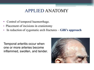 Arteries of Head and Neck | PPTX