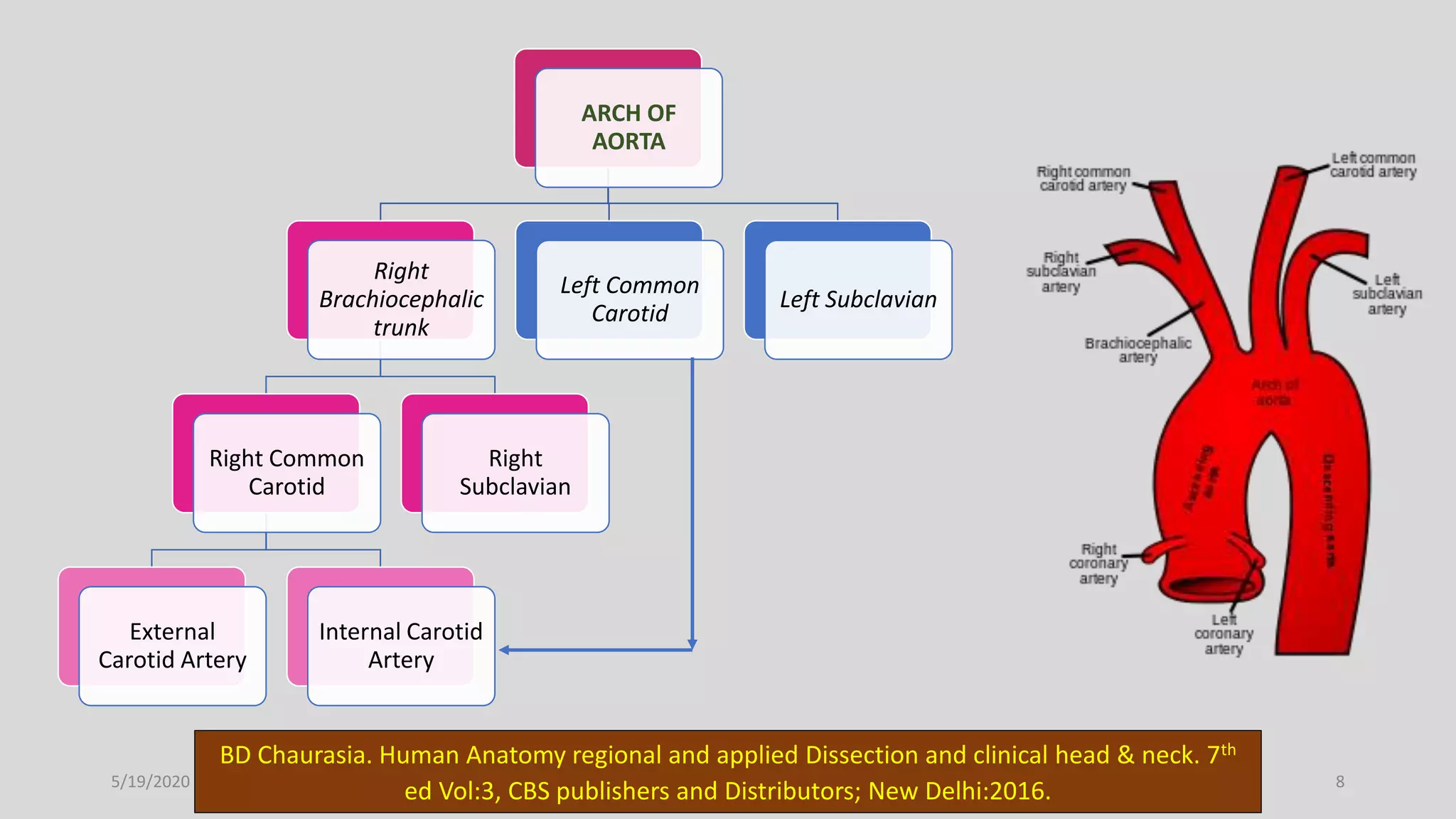 Blood supply of head and neck | PPTX