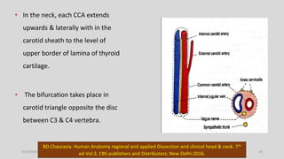 Blood supply of head and neck | PPTX