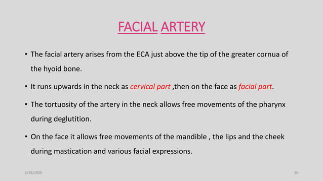 Blood supply of head and neck | PPTX