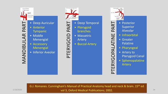 Blood supply of head and neck | PPTX
