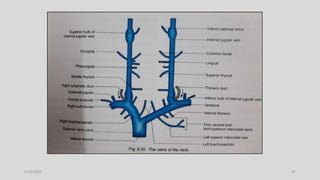 Blood supply of head and neck | PPTX