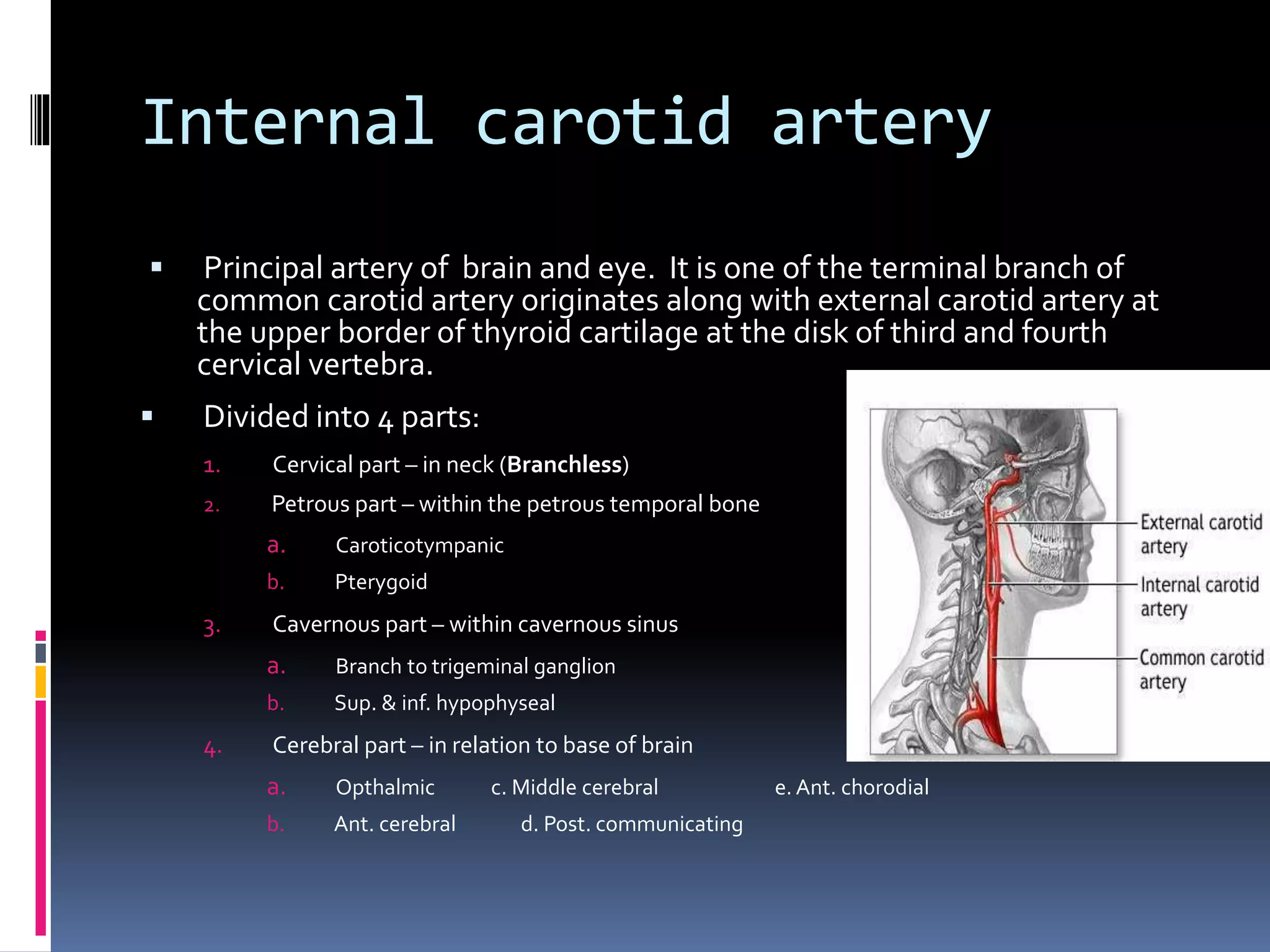 Blood supply of head and neck | PPTX