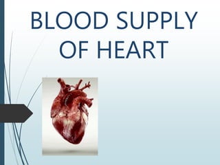 BLOOD SUPPLY
OF HEART
 