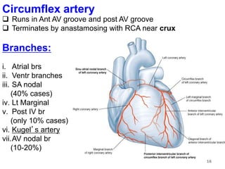 blood-supply-of-heart-ppt
