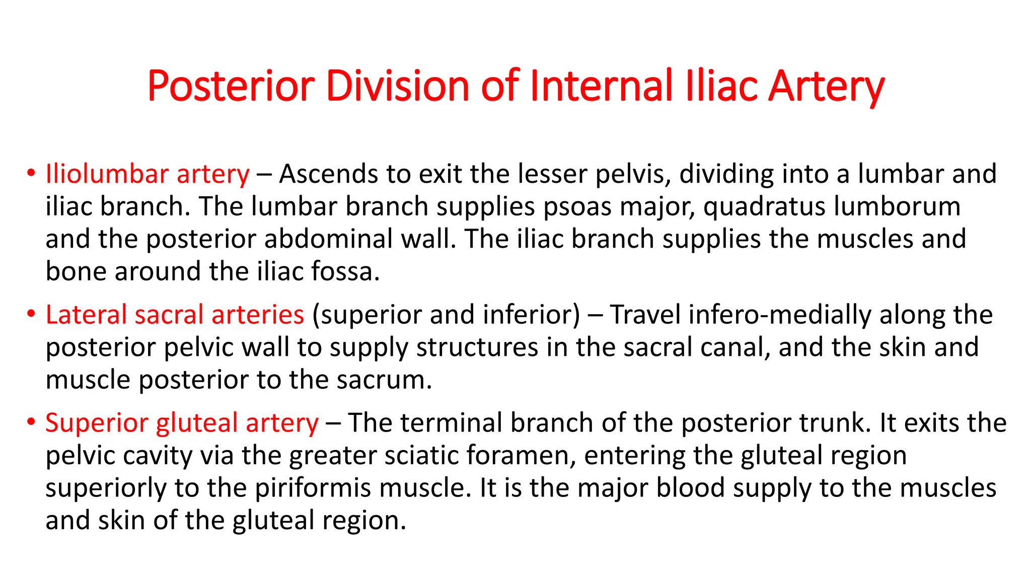 Arterial Supply and Venous Drainage of Pelvis.pptx