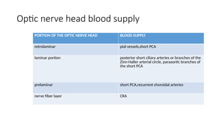 Blood supply of retina, optic nerve head | PPTX