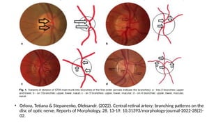Blood supply of retina, optic nerve head | PPTX
