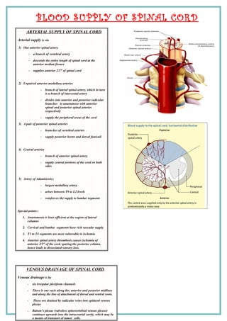 BLOOD SUPPLY OF SPINAL CORD
VENOUS DRAINAGE OF SPINAL CORD.
Venous drainage is by
- six irregular plexiform channels
- There is one each along the, anterior and posterior midlines
and along the line of attachment of dorsal and ventral roots.
- These are drained by radicular veins into epidural venous
plexus
- Batson’s plexus (valveless spinovertebral venous plexus)
continues upwards into the intracranial cavity, which may be
a means of transport of tumor cells.
ARTERIAL SUPPLY OF SPINAL CORD.
Arterial supply is via
1) One anterior spinal artery
– a branch of vertebral artery
– descends the entire length of spinal cord at the
anterior median fissure
– supplies anterior 2/3rd
of spinal cord
2) Unpaired anterior medullary arteries
- branch of lateral spinal artery, which in turn
is a branch of intercostal artery
- divides into anterior and posterior radicular
branches to anastamose with anterior
spinal and posterior spinal arteries
respectively
- supply the peripheral areas of the cord
3) A pair of posterior spinal arteries
- branches of vertebral arteries
- supply posterior horns and dorsal funiculi
4) Central arteries
- branch of anterior spinal artery
- supply central portions of the cord on both
sides
5) Artery of Adamkiewicz
- largest medullary artery
- arises between T9 to L2 levels
- reinforces the supply to lumbar segments
Special points::
1. Anastomosis is least efficient at the region of lateral
columns
2. Cervical and lumbar segments have rich vascular supply
3. T1 to T4 segments are most vulnerable to ischemia
4. Anterior spinal artery thrombosis causes ischemia of
anterior 2/3rd
of the cord, sparing the posterior column,
hence leads to dissociated sensory loss.
 