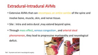 Blood supply of spinal cord | PPTX