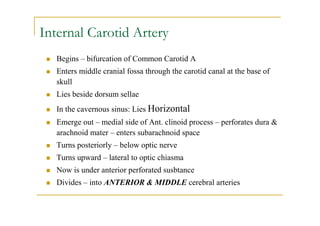 Major arteries of the brain. A, medial aspect
Anterior Cerebral Artery: Course
 