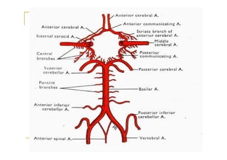 Arterial Supply of the Internal capsule
The three sources of supply are:
Anterior choroidal ,a direct branch of the intern...