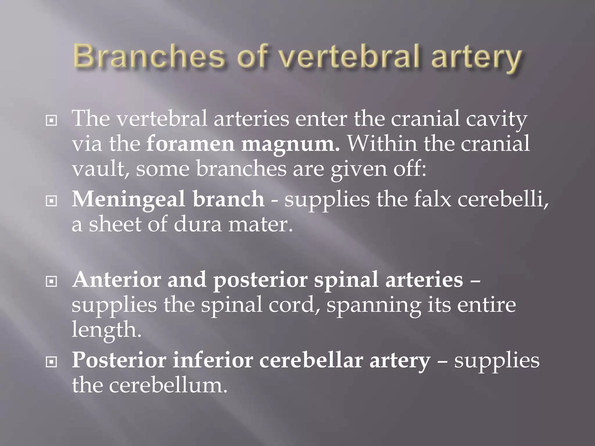 Blood supply of the brain, neuro anatomy . | PPTX