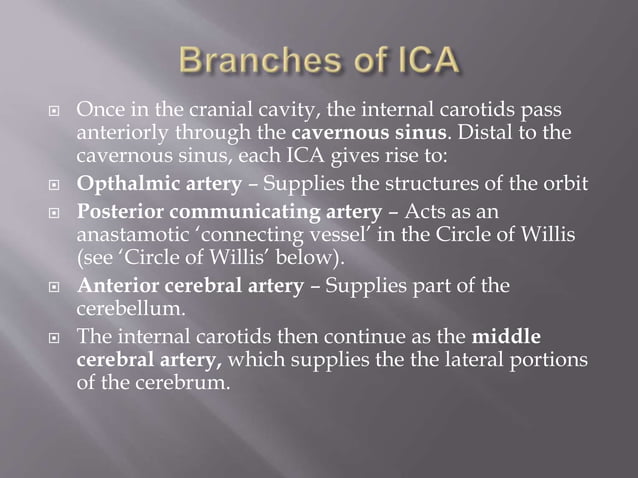 Blood supply of the brain, neuro anatomy . | PPTX
