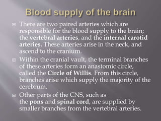  There are two paired arteries which are
responsible for the blood supply to the brain;
the vertebral arteries, and the internal carotid
arteries. These arteries arise in the neck, and
ascend to the cranium.
 Within the cranial vault, the terminal branches
of these arteries form an anastomic circle,
called the Circle of Willis. From this circle,
branches arise which supply the majority of the
cerebrum.
 Other parts of the CNS, such as
the pons and spinal cord, are supplied by
smaller branches from the vertebral arteries.
 