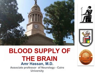 Amr Hassan, M.D.
Associate professor of Neurology - Cairo
University
BLOOD SUPPLY OF
THE BRAIN
 