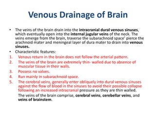 Drain Absence Blood supply of the brain | PPTX