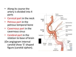 Blood supply of the brain | PPTX